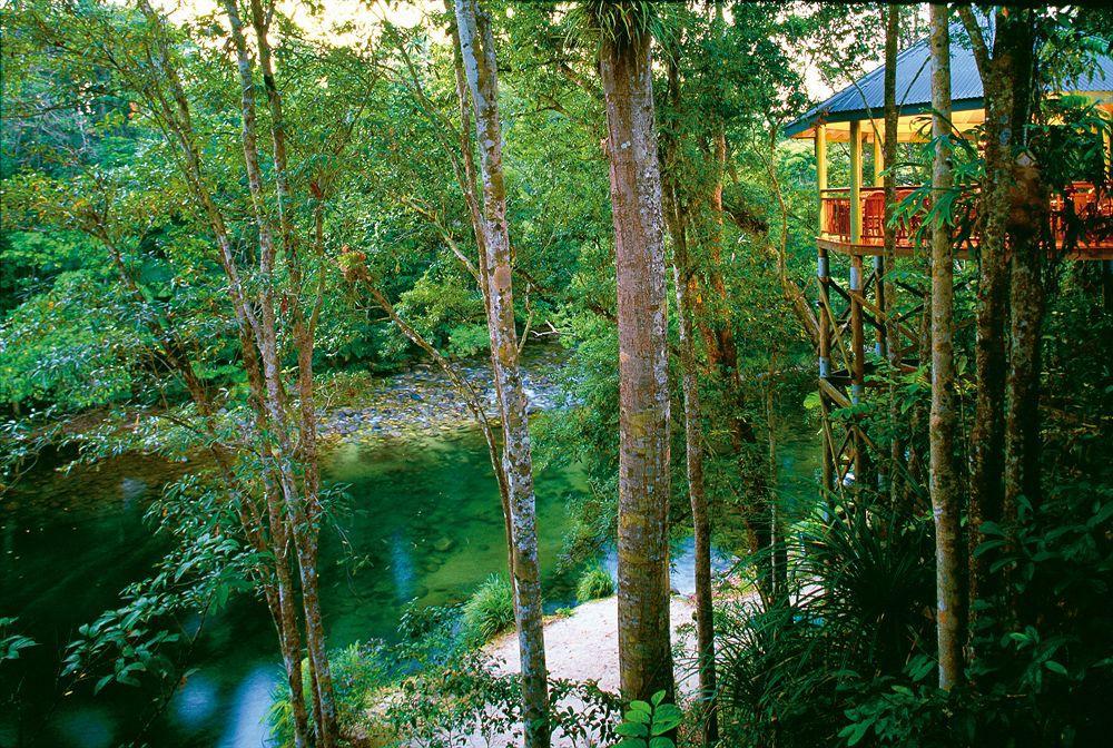 Silky Oaks Lodge Mossman المظهر الخارجي الصورة